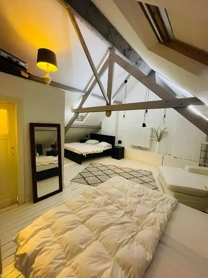 O-Sea House: Herenwoning In Belle Epoque Wijk Te Oostende Villa Ostende